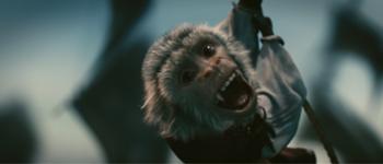 scimmia-curiosity-movie