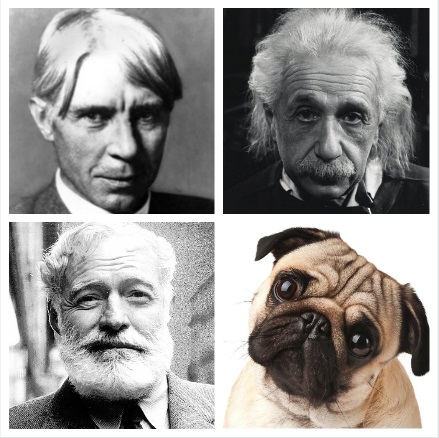 E.T. L’EXTRA-TERRESTRE