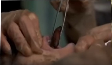 IL SILENZIO DEGLI INNOCENTI