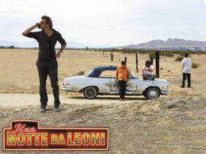 una notte da leoni curiosity movie