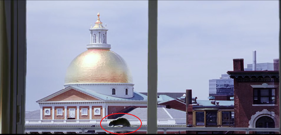 the departed curiosity movie