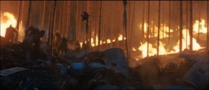 il gladiatore forestacuriosity movie