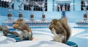 la fabbrica di cioccolato scoiattoli curiosity movie
