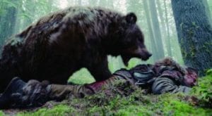 the revenan orso curiosity movie