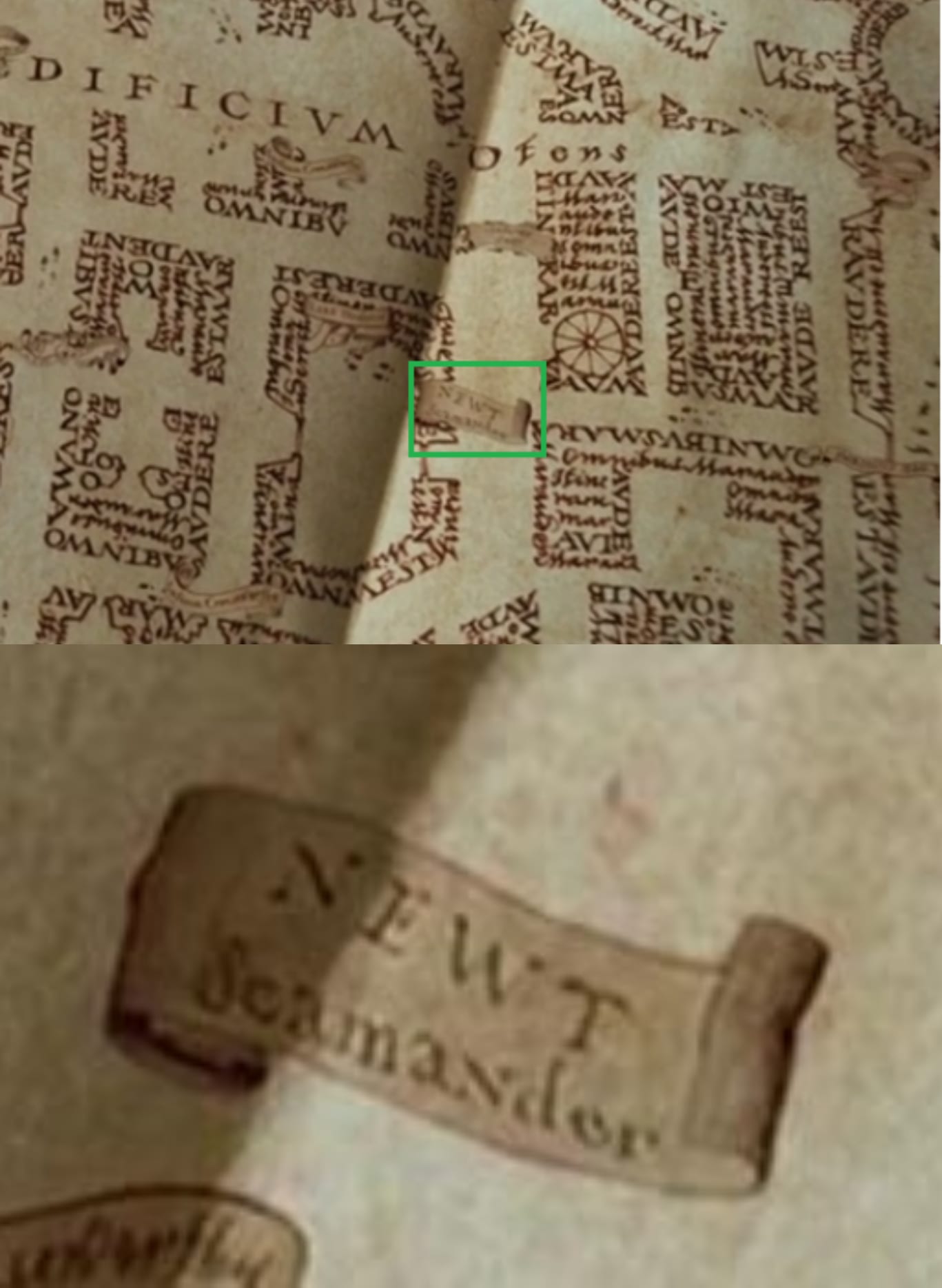 Animali Fantastici e dove trovarli curiosity movie