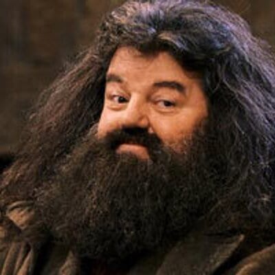 Harry Potter e la pietra filosofale Robbie Coltrane curiosity movie