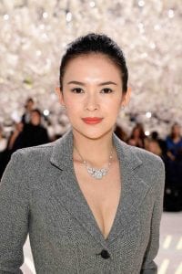 Zhang Ziyi curiosity movie