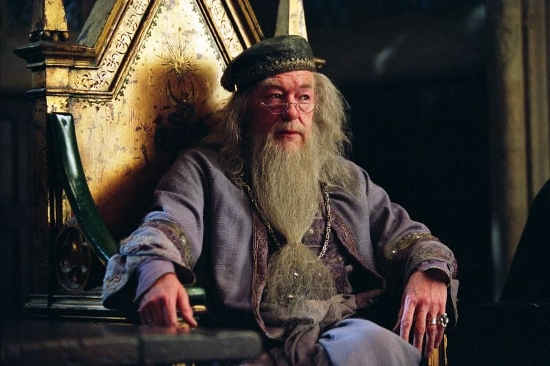 Harry Potter e il prigioniero di Azkaban Michael Gambon curiosty movie