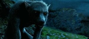 Harry Potter e il prigioniero di Azkaban lupin curiosty movie