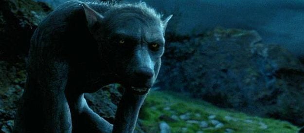 Harry Potter e il prigioniero di Azkaban lupin curiosty movie