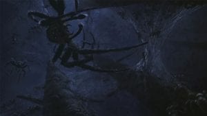 Harry Potter e la camera dei segreti ragni curiosity movie