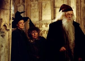 Harry Potter e la camera dei segreti richard harris curiosity movie