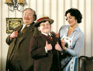 Harry Potter e il calice di fuoco Dursley curiosity movie