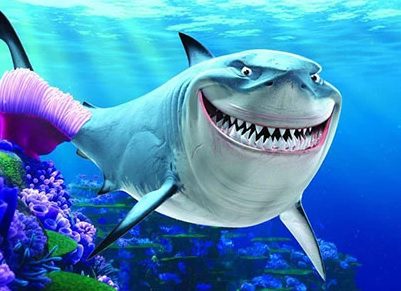 Bruto - Bruce Curiosity Movie