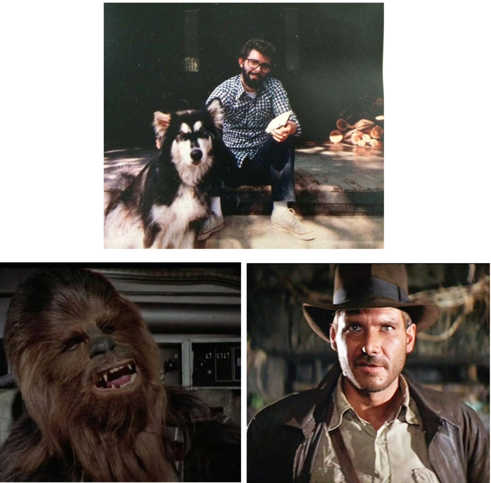 Chewbecca Curiosity Movie