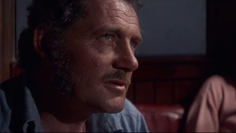 Lo Squalo Quint Curiosity Movie