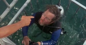 Jaws a gabbia Curiosity Movie