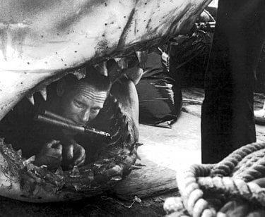 Lo Squalo tnt Curiosity Movie