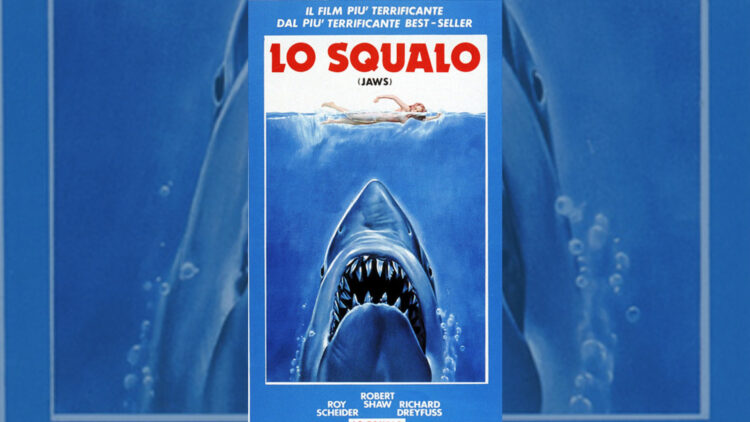 Lo squalo Curiosity Movie