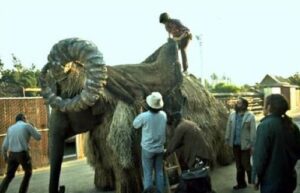 Star Wars Bantha Curiosity Movie