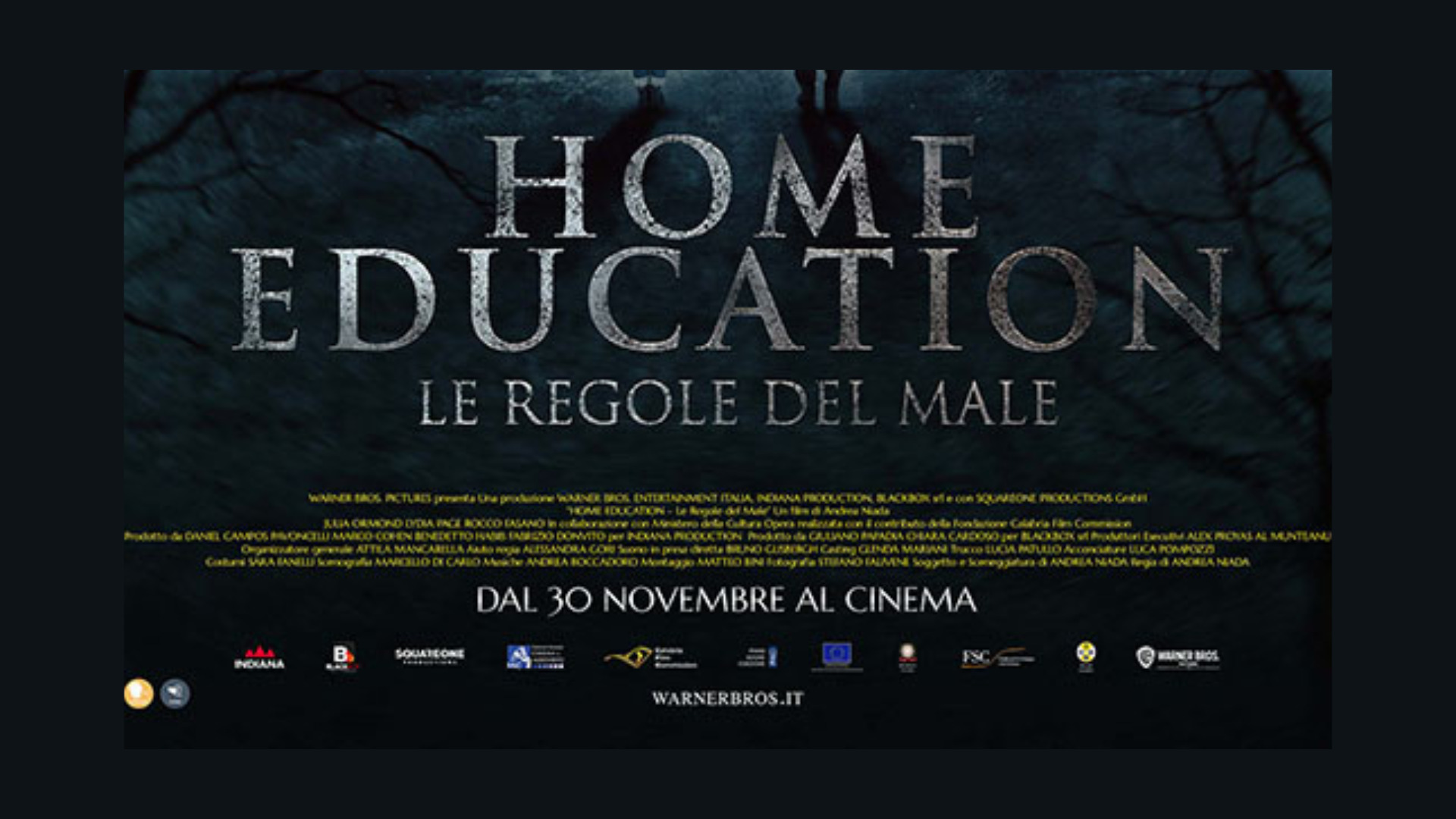 Home Education - Le regole del male Curiosity Movie