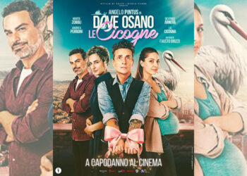 Dove osano le cicogne curiosity movie