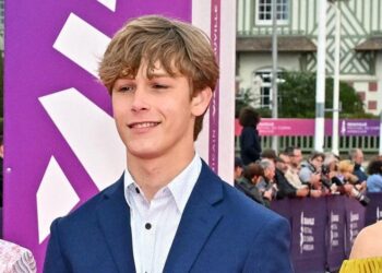 hudson meek curiosity movie