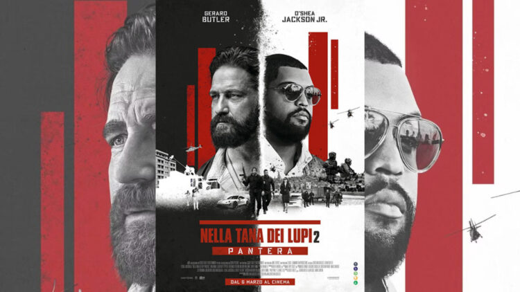NELLA TANA DEI LUPI 2 - PANTERA cm