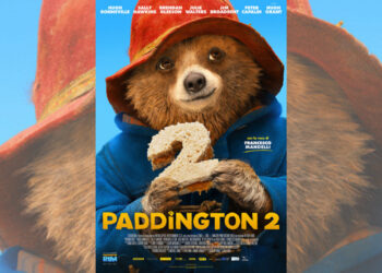 paddington 2 cm